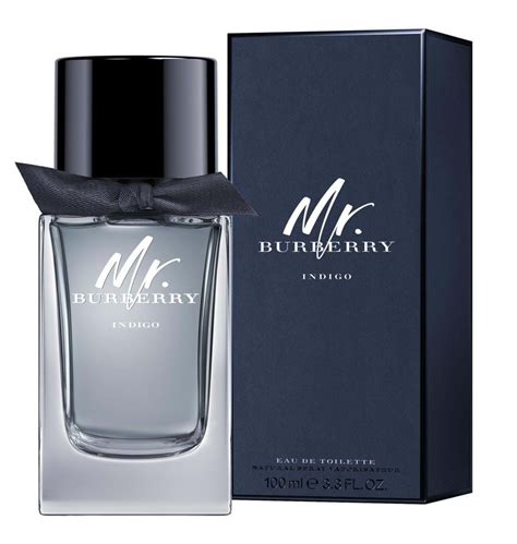 mr burberry tigota|mr burberry indigo cologne reviews.